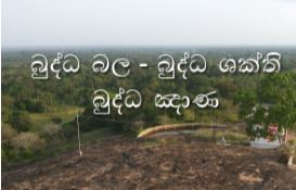 ශක්ති බුද්ධ ඤාණ විග‍්‍රහය